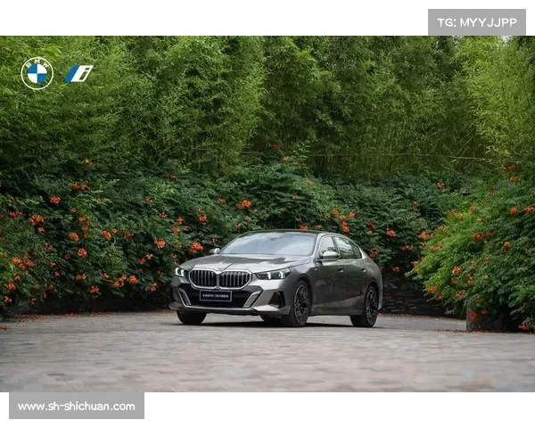 全新BMW 5系丨新时代商务精英们的驾驶乐趣! 全新BMW 5系丨新时代商务精英们的驾驶乐趣!