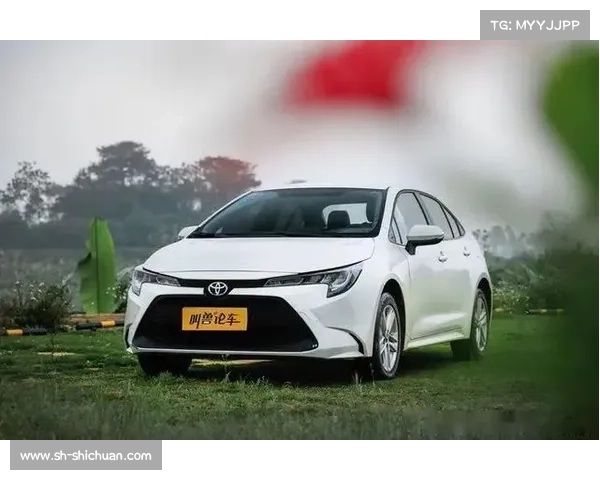 全新混动雷凌用车体验，油耗真的是太香了